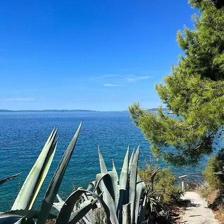 Adriatic Lägenhet *